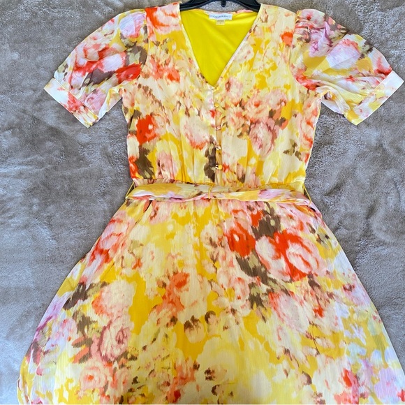 Calvin Klein Maxi dress. Size 2. Womens Floral Print Tea party Maxi Dress - Picture 3 of 14